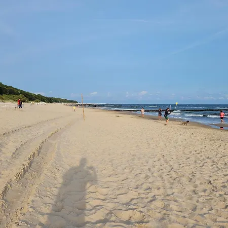 Karolina - Zielone Tarasy